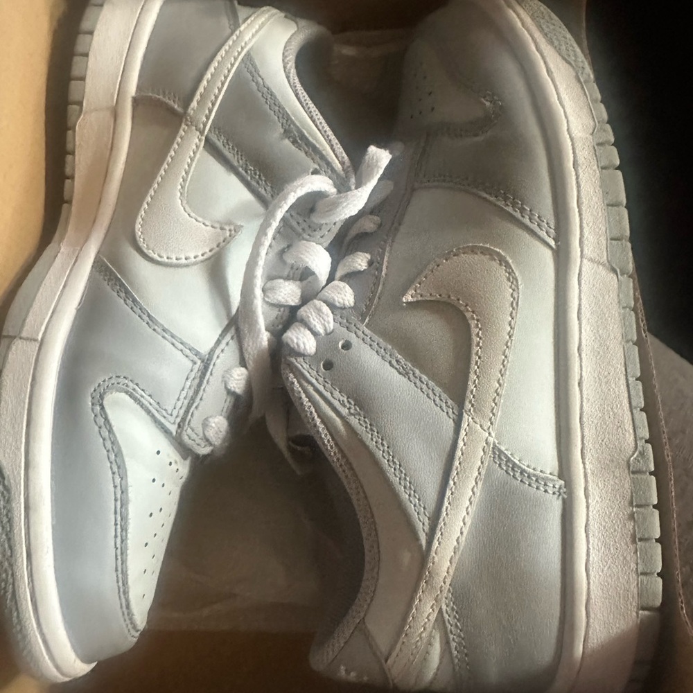Nike Dunks Kids Gray and White Sneakers
